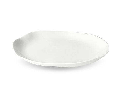 Irregular Plate