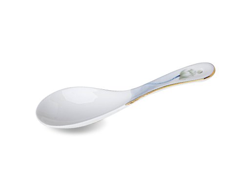 Spoon