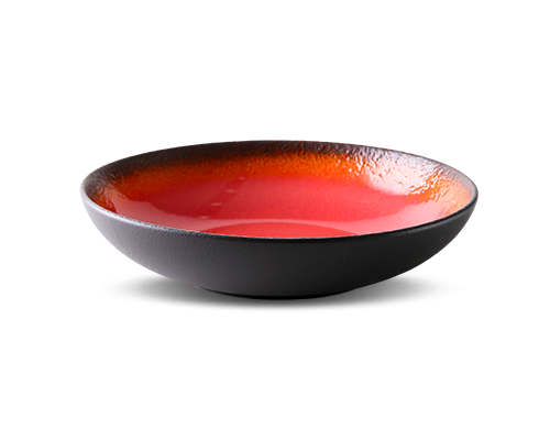 Rice Plate