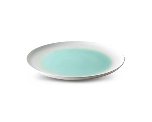 Flat-bottom Plate
